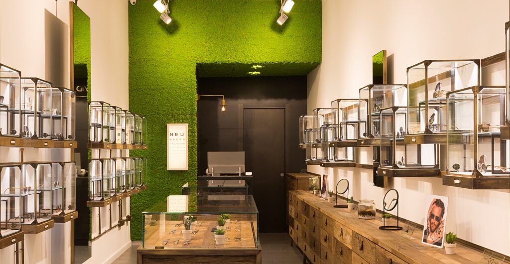 A Guide to Preserved Moss 3 Benefits in Commercial Interior Design