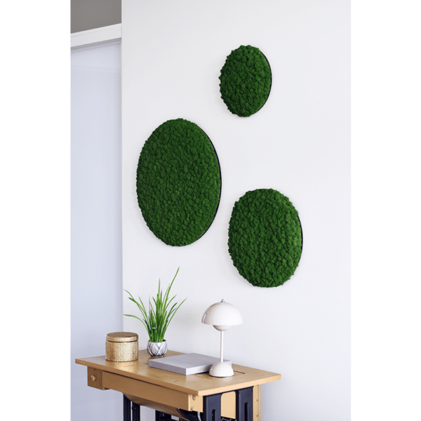 Reference image of Polarmoss Ltd. Three round green colored moss interior design elements on the wall. Product name Polarmoss Moon.