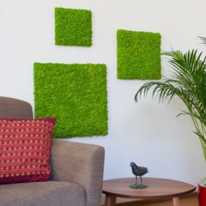 Three different sized green colored moss interior design elements on the wall.