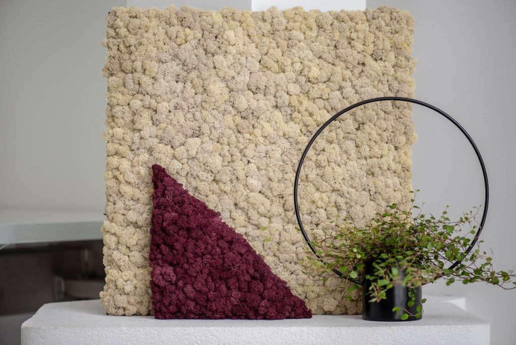 Reference image of Polarmoss Ltd. Colored reindeer moss element. One large warm grey square and one cyan triangle. Made by Polarmoss.